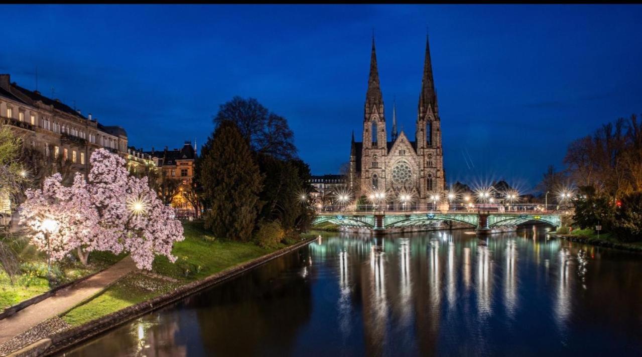 Appart & Studio Hyper Centre De Strasbourg - Proche Cathedrale & Petite France מראה חיצוני תמונה