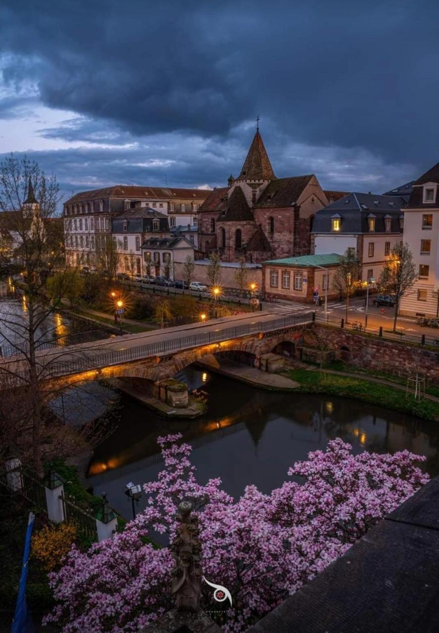 Appart & Studio Hyper Centre De Strasbourg - Proche Cathedrale & Petite France מראה חיצוני תמונה